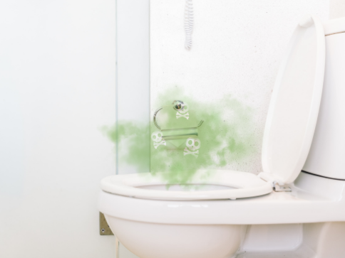 Bad Smell Coming From The Toilet Us - Why Does My Bathroom Smell Bad